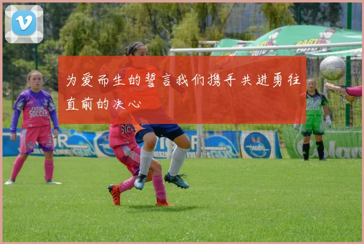 为爱而生的誓言我们携手共进勇往直前的决心