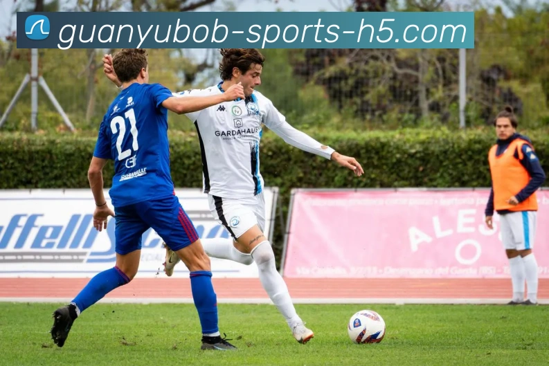 BOB体育APP 封面图